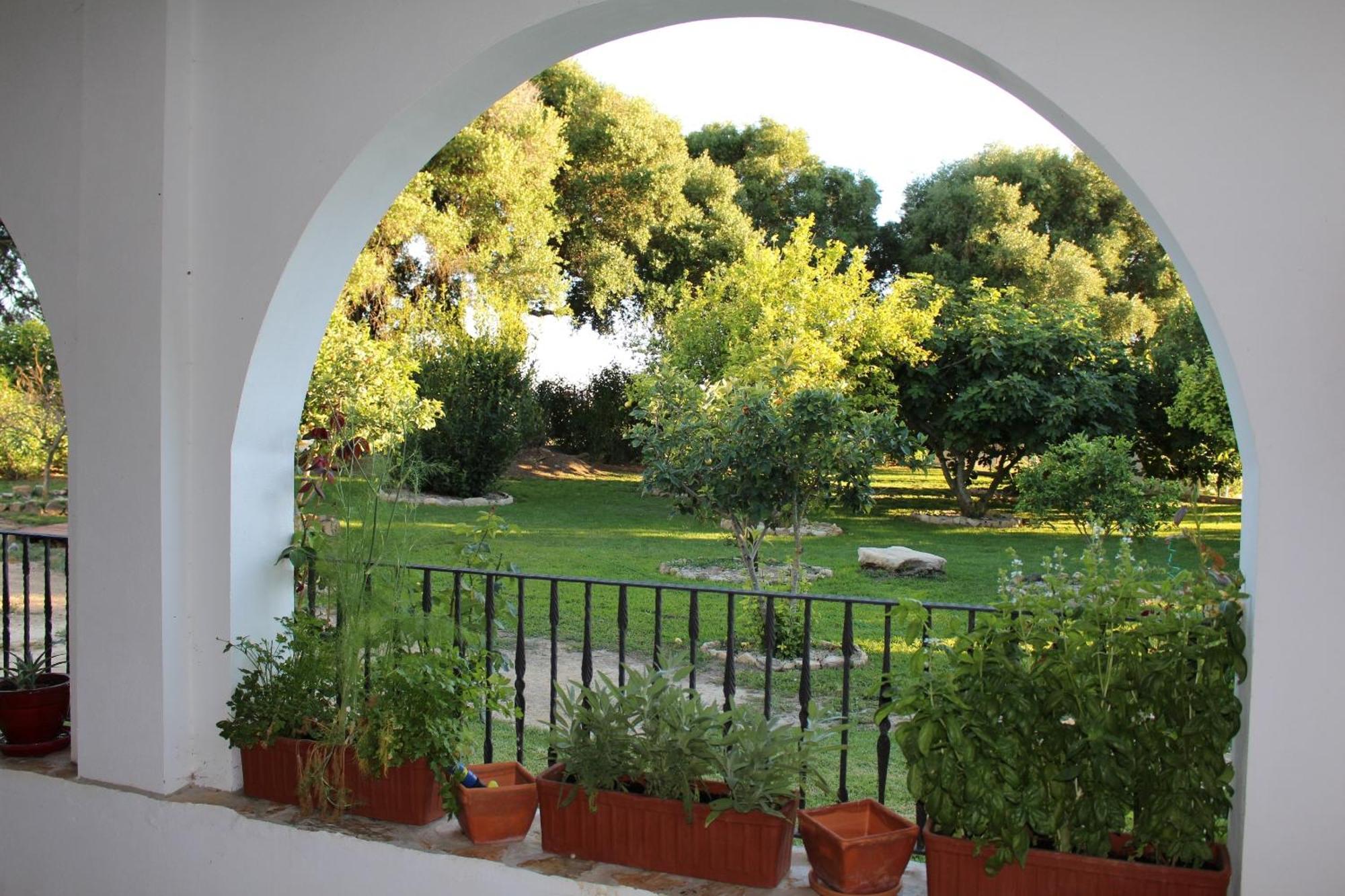 Cortijo El Indiviso Guest House Vejer de la Frontera Cameră foto